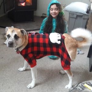 lazy one Pajamas - Dog Pajamas!!! lazy one Pajamas - Dog Pajamas!!!